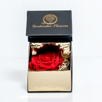 Μοναδικό ForEver Rose για την μια και μοναδική σε πολυτελές κασετίνα